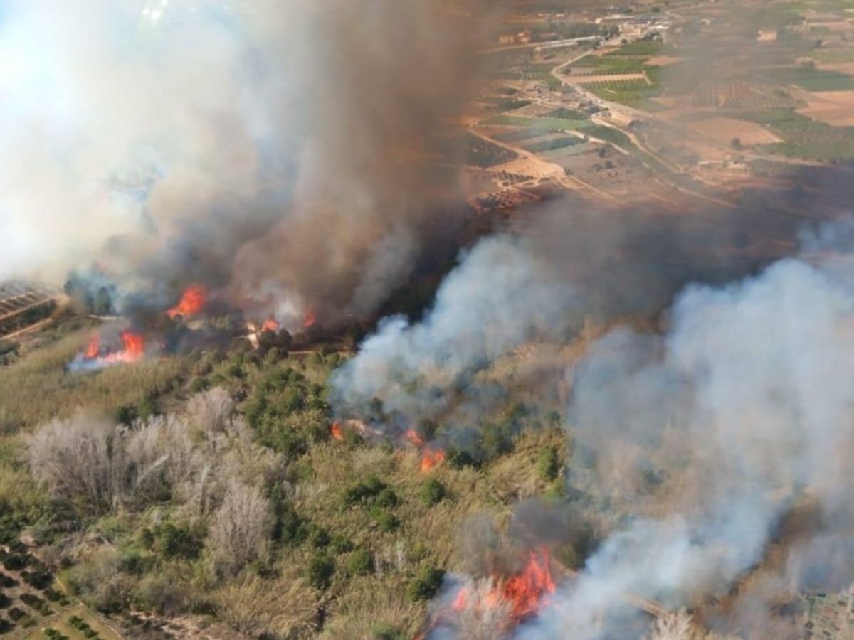 Incendio forestal en el Parque Natural del Turia en Vilamarxant 6