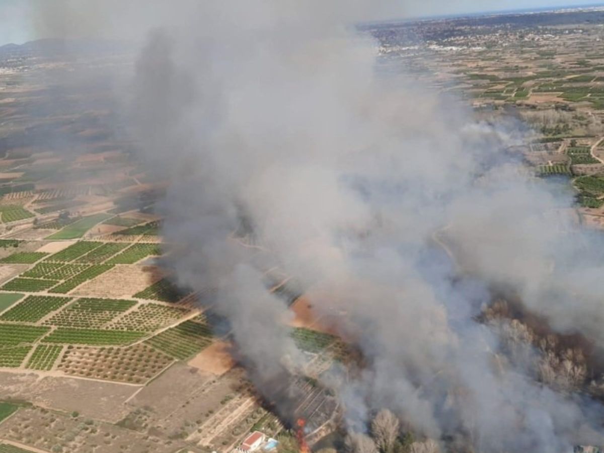 Incendio forestal en el Parque Natural del Turia en Vilamarxant 2