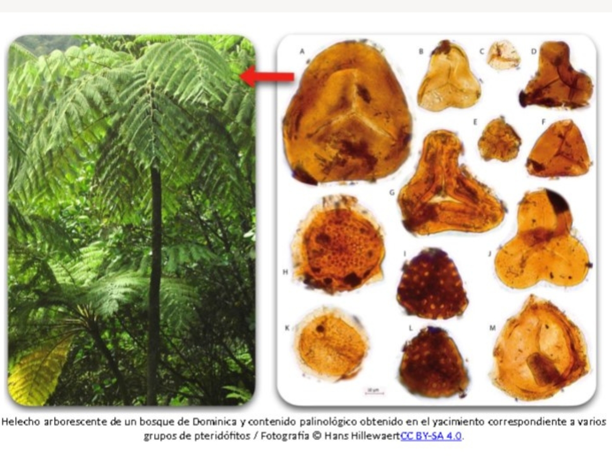 La última cena del dinosaurio Morelladon