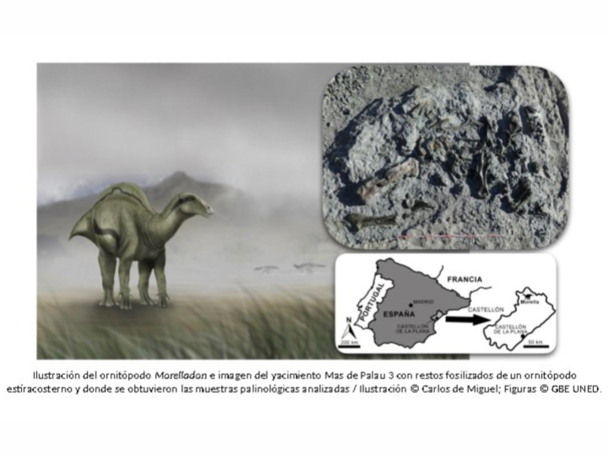 La última cena del dinosaurio Morelladon