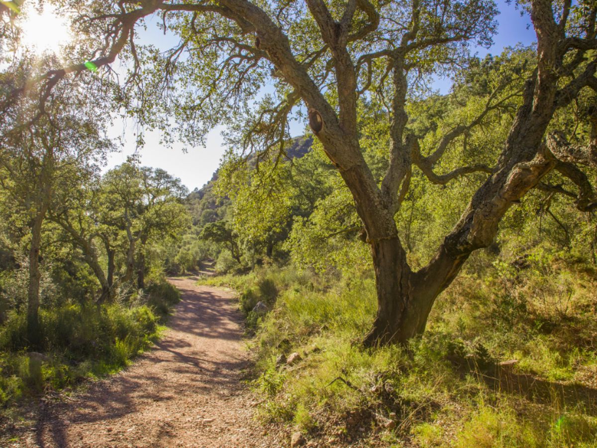 Mejoras en los senderos de las cumbres de Espadán