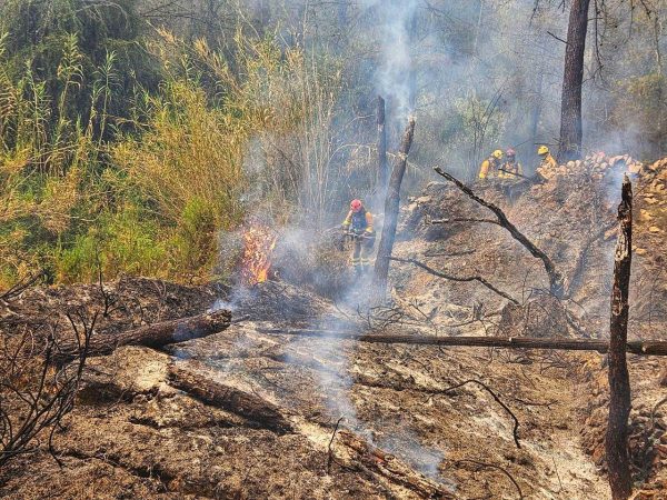 Tras cuatro días de infierno queda controlado el incendio de Tàrbena