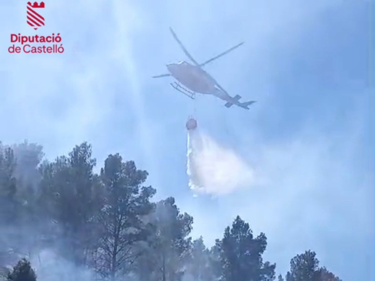 Un incendio forestal activa las alarmas en Onda