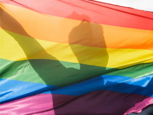 Vox rechaza la propuesta del PP de colgar la bandera LGTBI en Les Corts