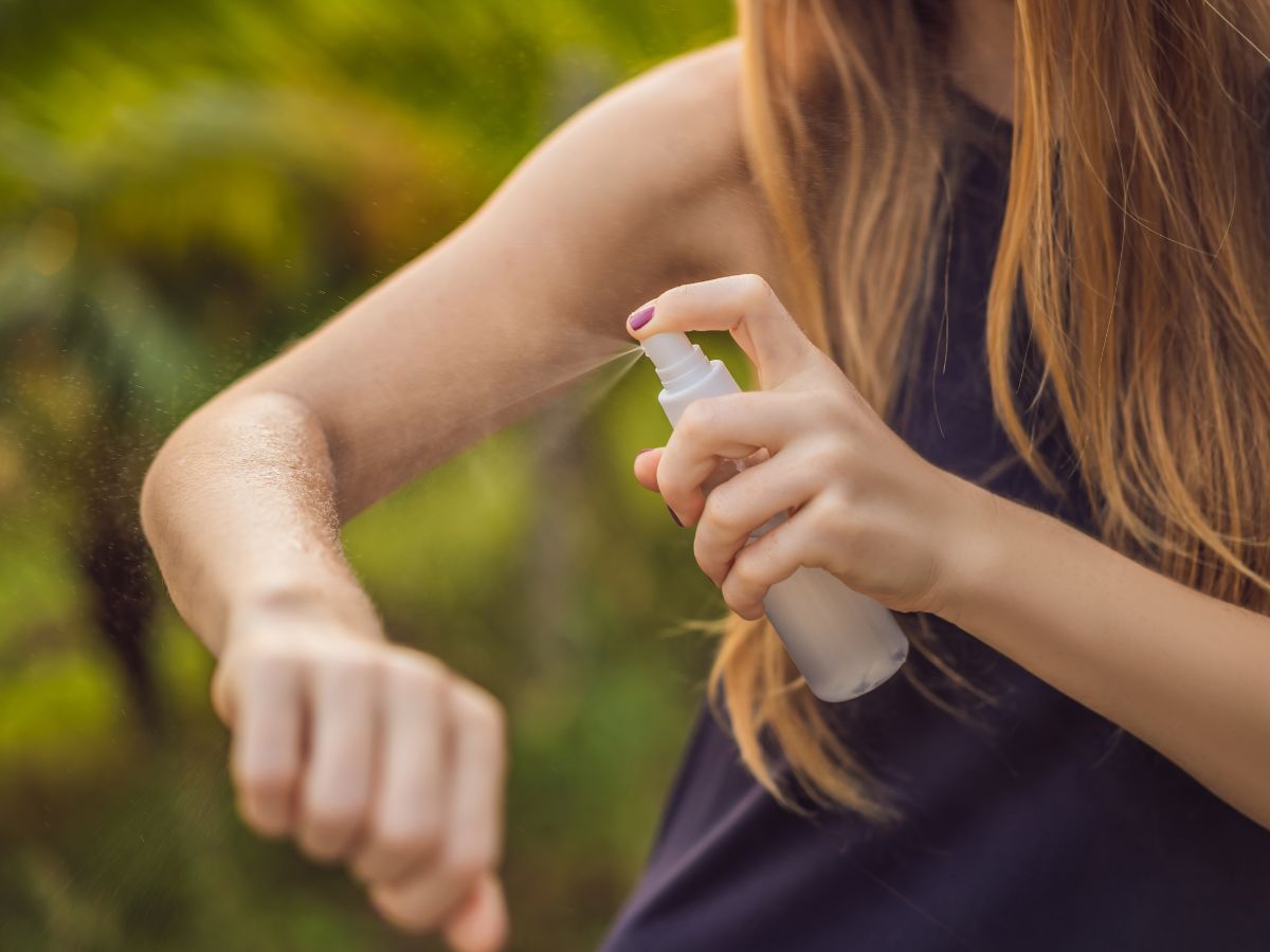 ¿Mosquitos invaden Castellón? Ferrer promete soluciones para este 2024