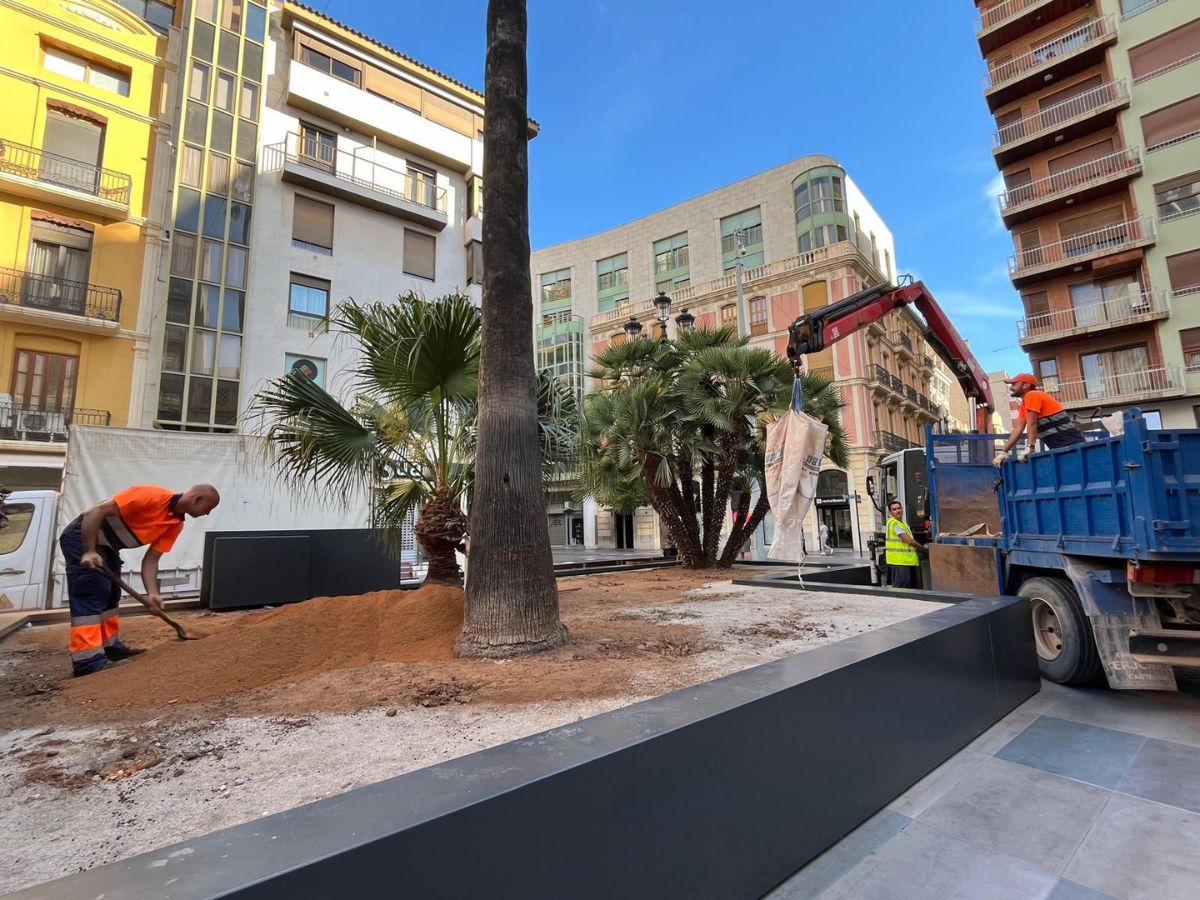 El gobierno de Castellón renaturalizará la plaza de la Paz sustituyendo el césped artificial por natural y plantará en torno a 500 flores de temporada.