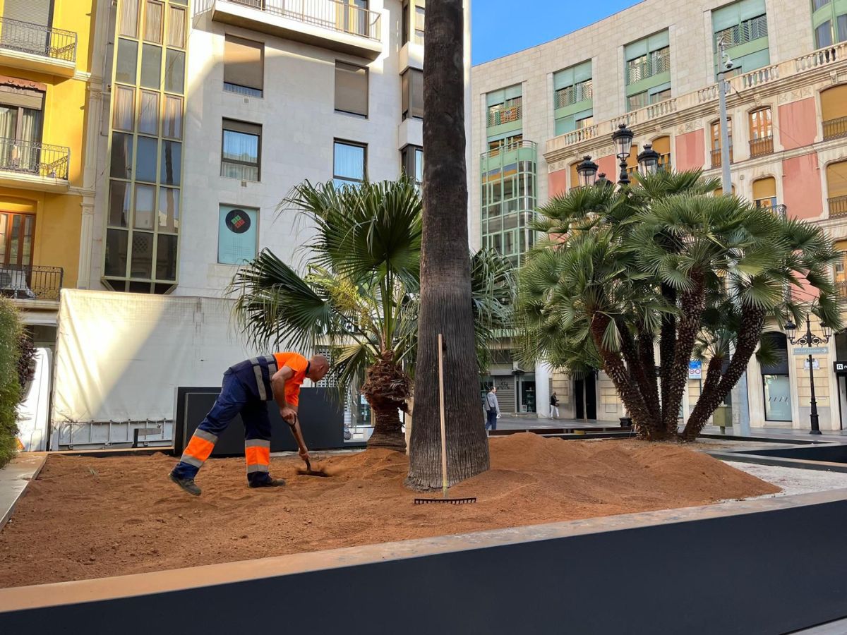 El gobierno de Castellón renaturalizará la plaza de la Paz sustituyendo el césped artificial por natural y plantará en torno a 500 flores de temporada.