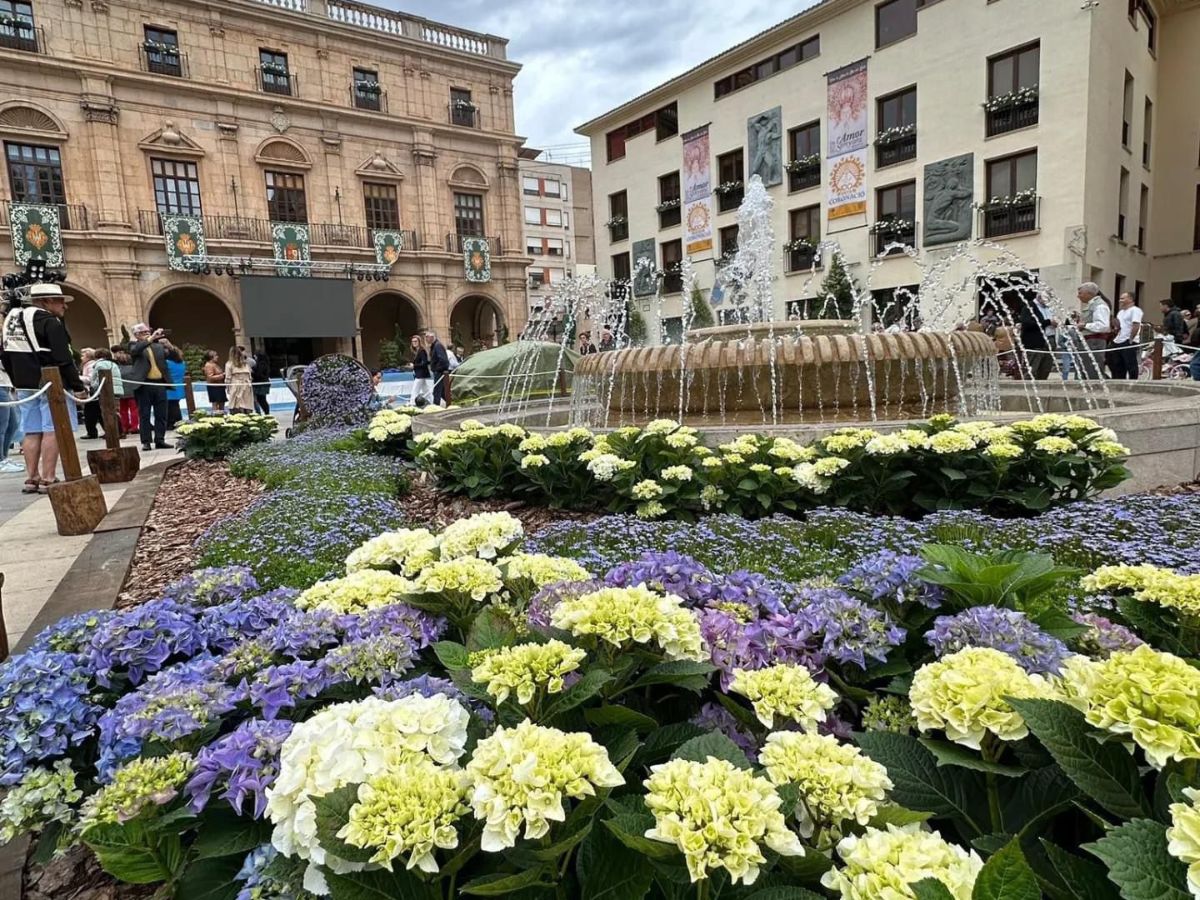 Adiós al césped y plantas artificiales en Castellón