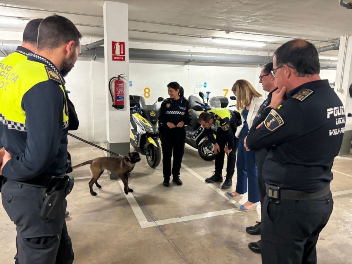 Almassora estudia implantar una Unidad Canina en la Policía Local