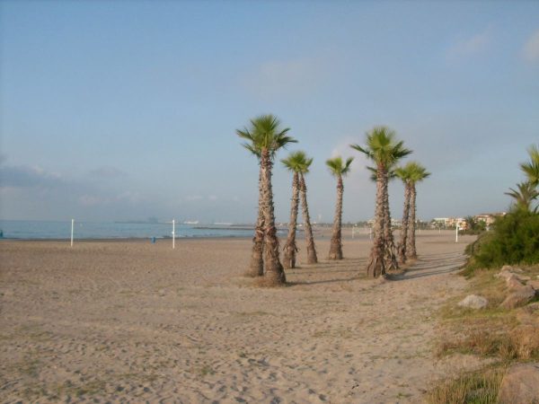 Aparecen mas de 600 camisetas en la playa del Gurugú de Castellón