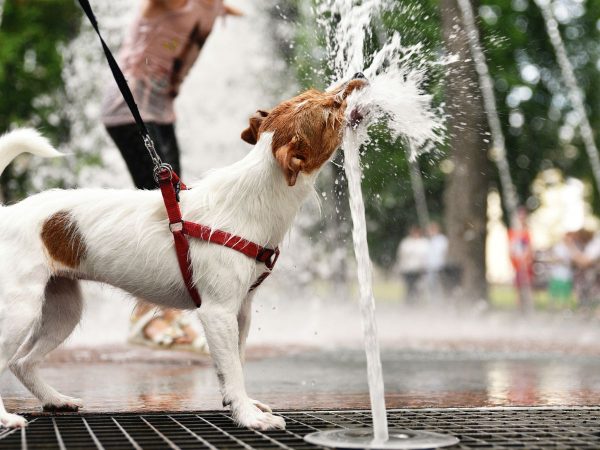 Aumento de temperaturas en la Comunitat Valenciana