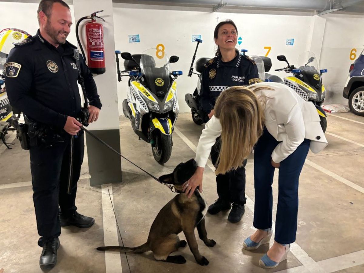 Almassora estudia implantar una Unidad Canina en la Policía Local