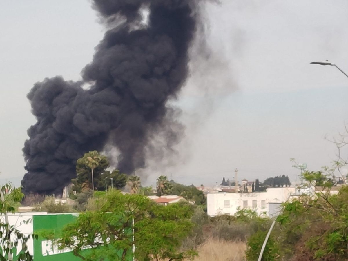 Declarado incendio en la zona de Castalia en Castellón