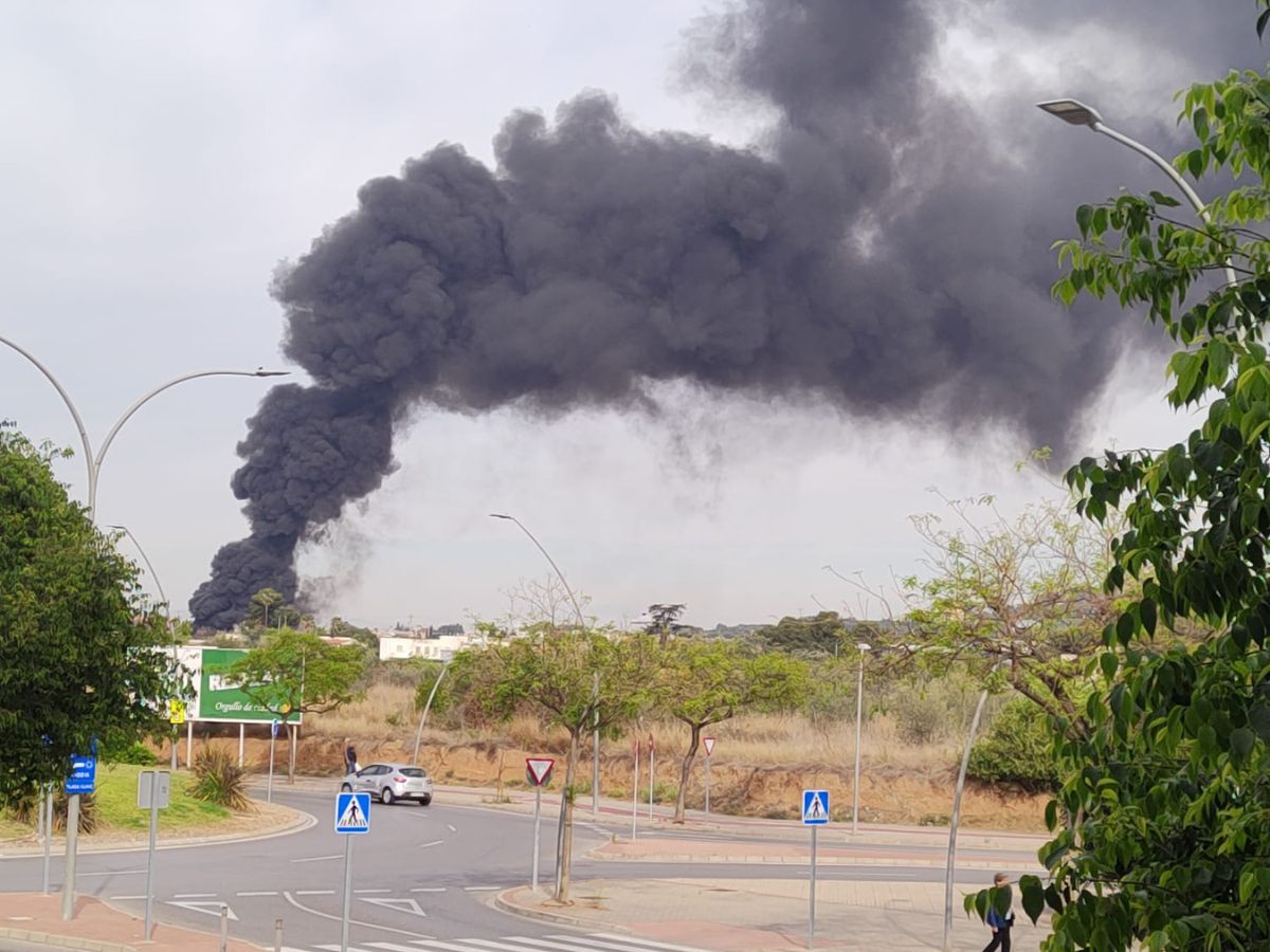 Declarado incendio en la zona de Castalia en Castellón