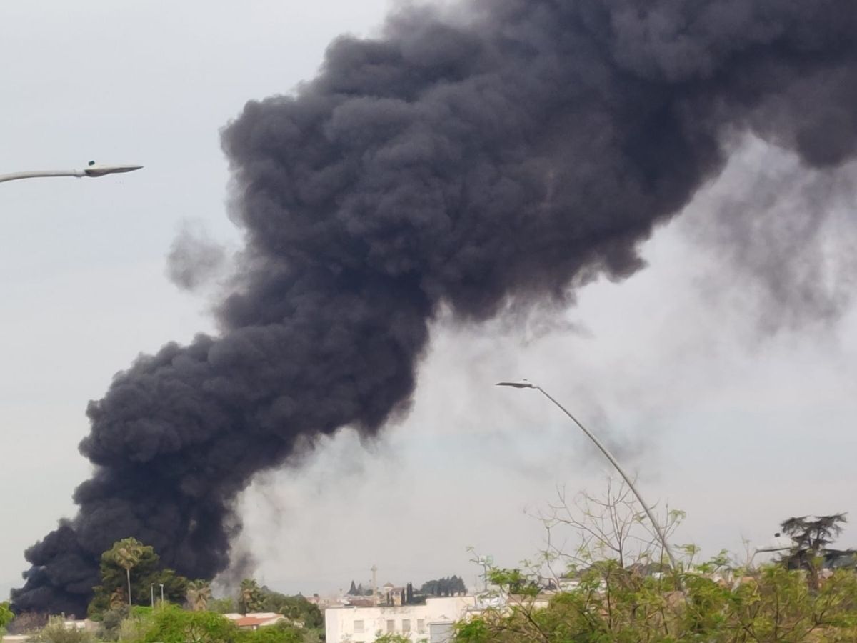 Declarado incendio en la zona de Castalia en Castellón