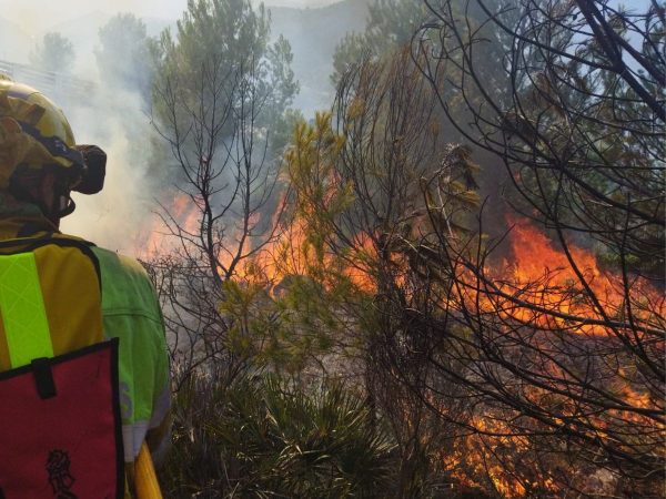 Declarado incendio forestal en Moncofa