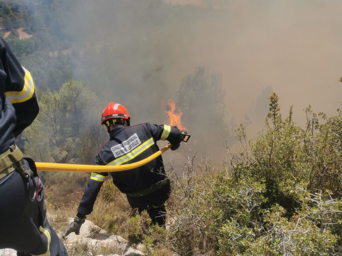 Declarado incendio forestal entre Onda y Tales