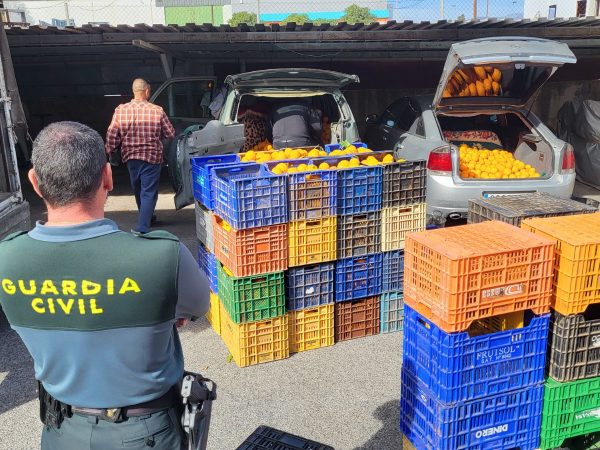 Diez detenidos por el robo de 163 toneladas de naranjas