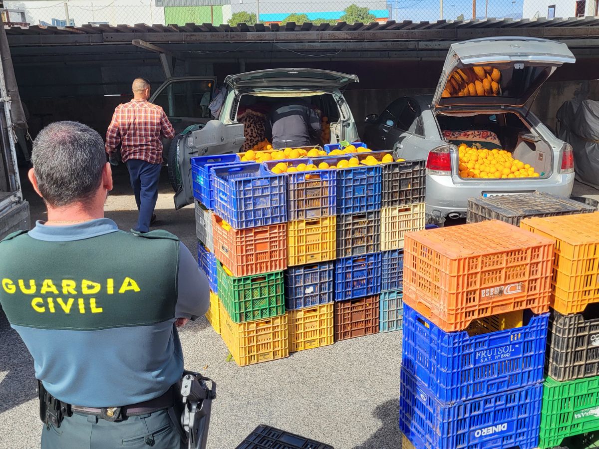 Diez detenidos por el robo de 163 toneladas de naranjas