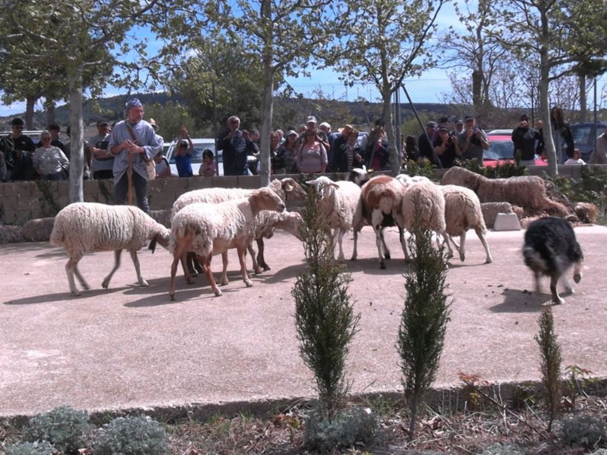 Gran éxito en la Iª ‘Feria de la Oveja y la Cabra’ de Vilafranca