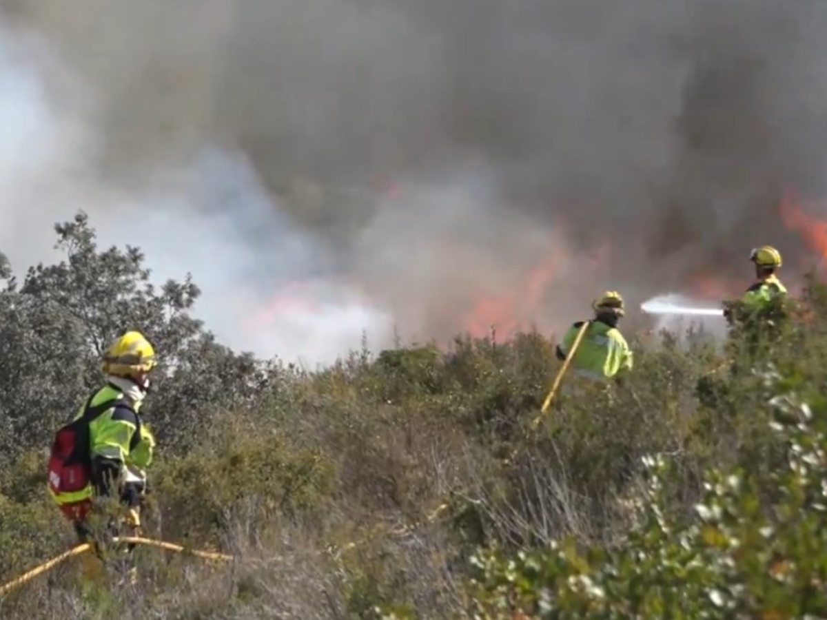 Declarado incendio en zona forestal en Almedíjar