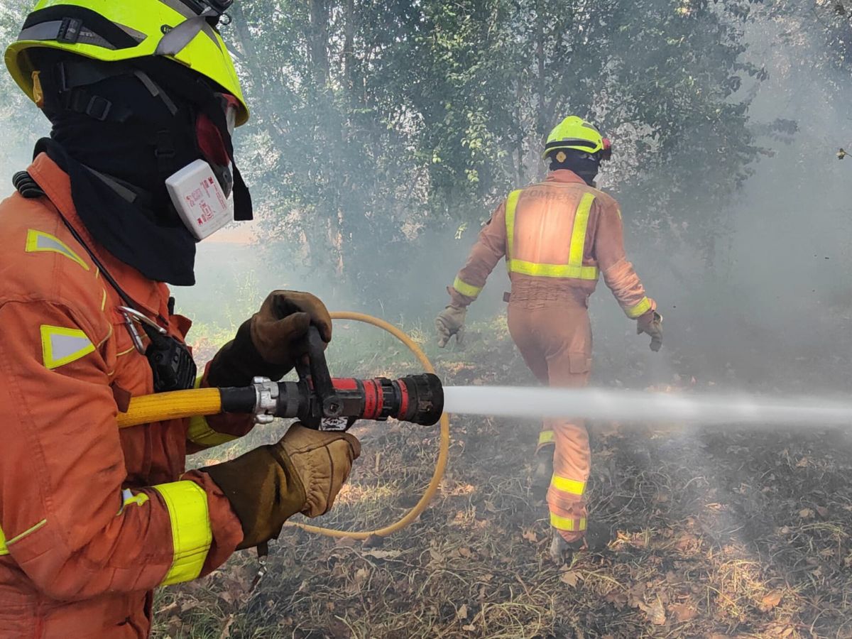 Incendio forestal en Riba-roja obliga a confinar una urbanización