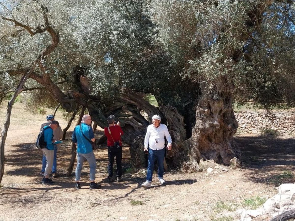 La prensa alemana se deslumbra con el patrimonio de Castellón