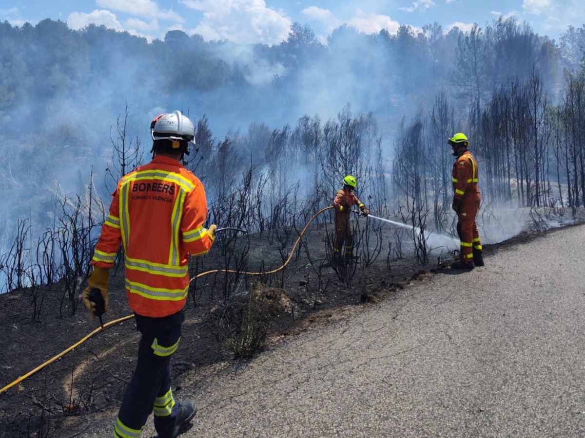 Un incendio forestal en Montroi obliga a desalojar viviendas