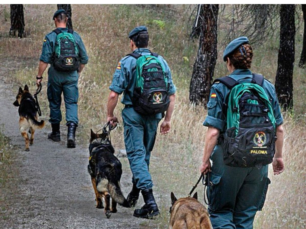 Un perro vuelve a casa con un brazo humano tras un paseo