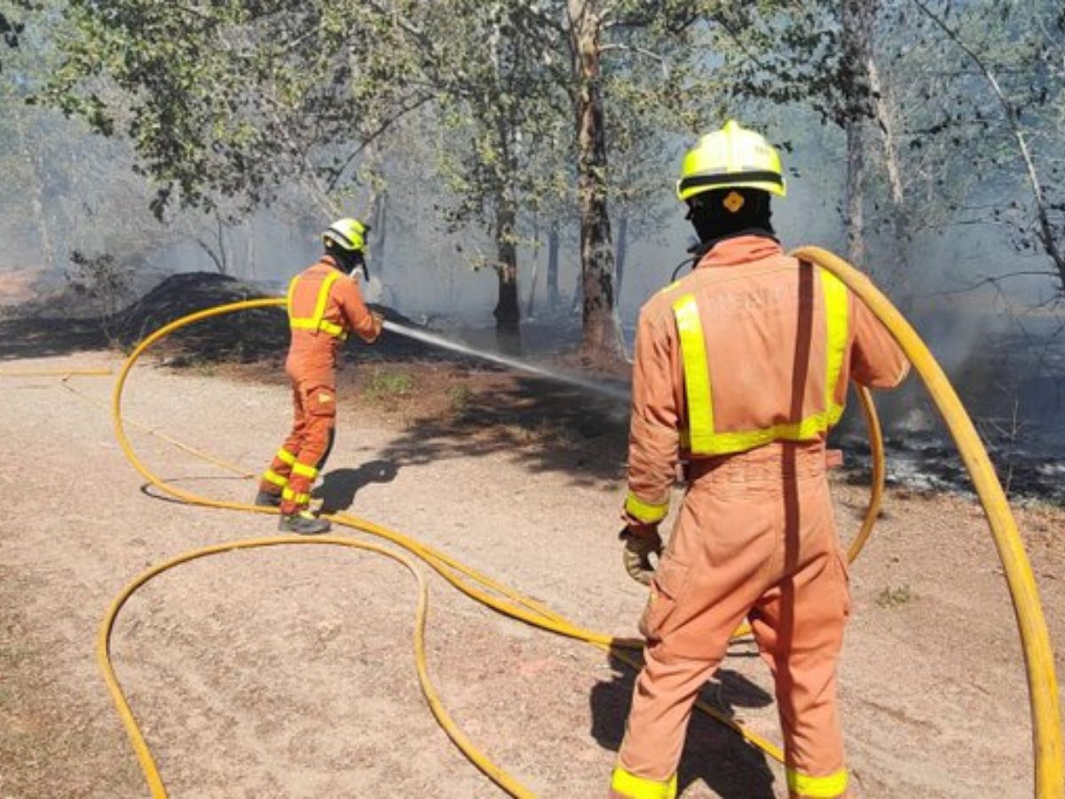 Un incendio forestal en Montroi obliga a desalojar viviendas