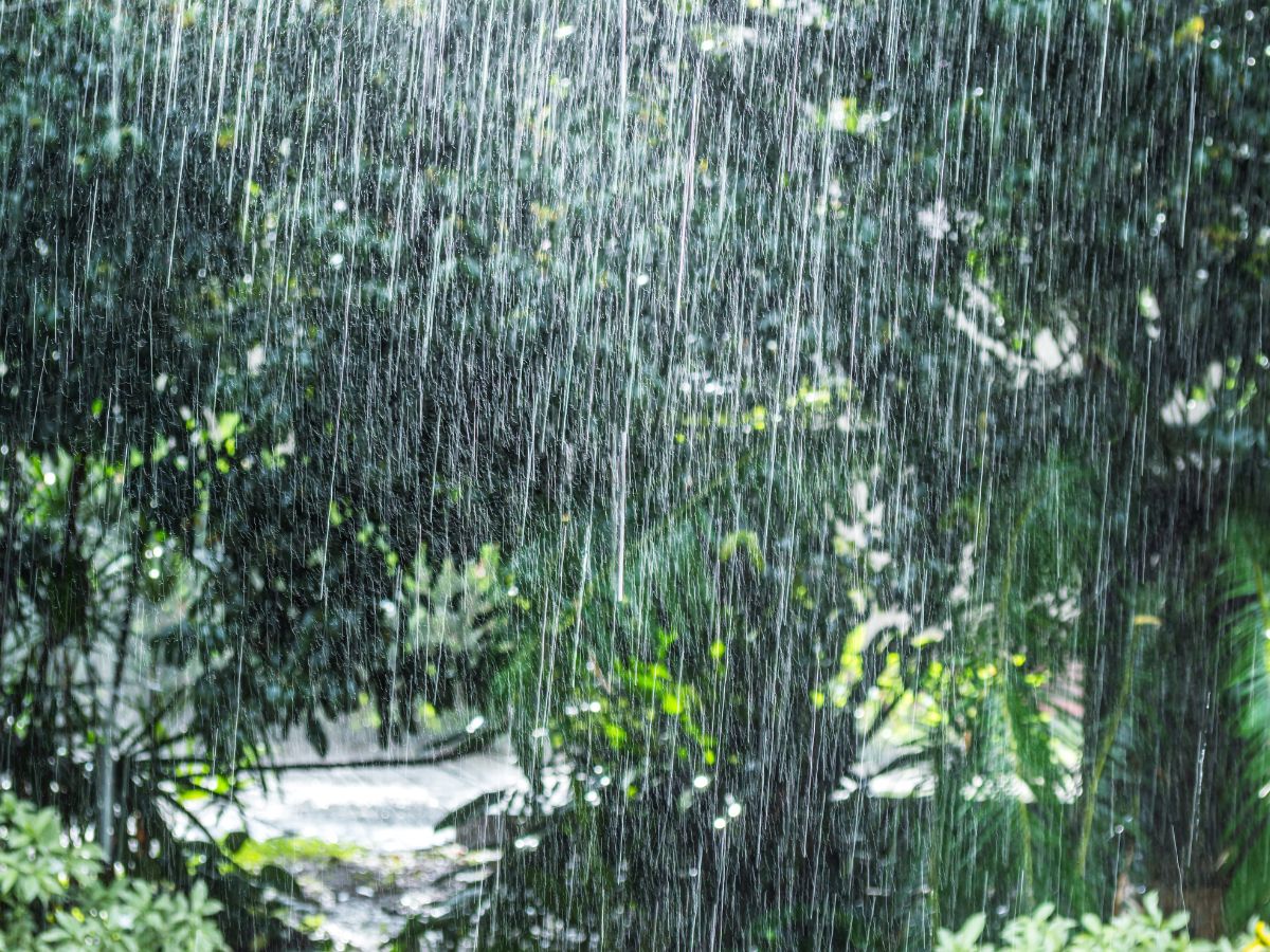 Alerta amarilla por chubascos y tormentas en la Comunitat Valenciana