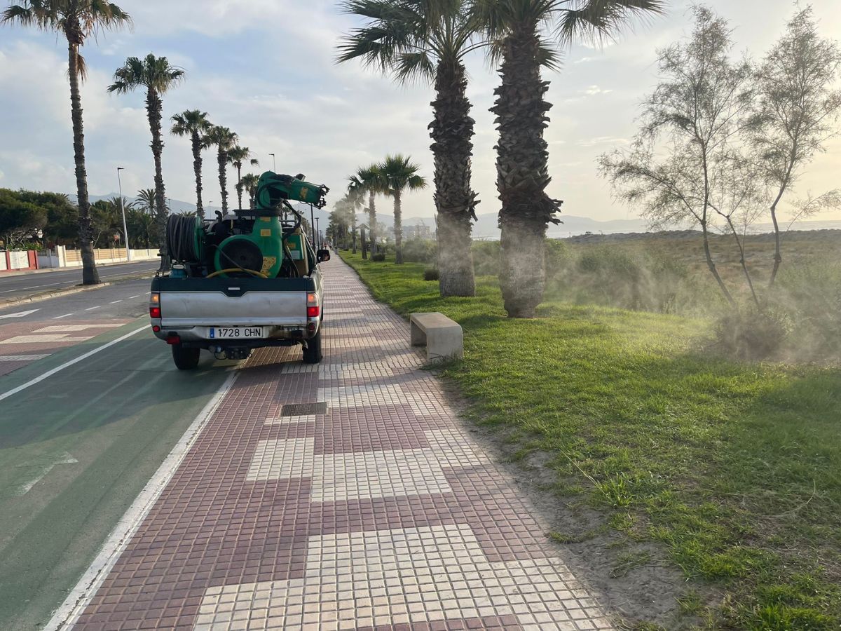 Batalla contra los mosquitos en la franja costera del Grao