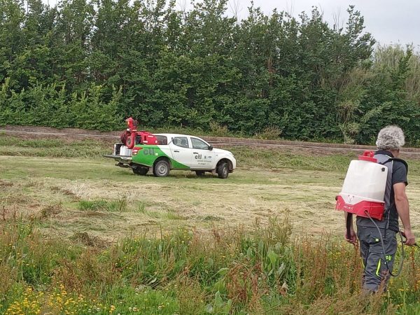 Diputación de Castellón intensifica el control de mosquitos en marjalerías