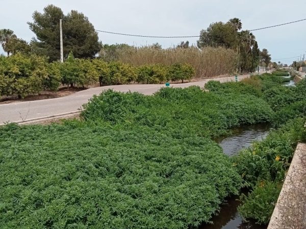 El PP alerta sobre el abandono del canal de Nules