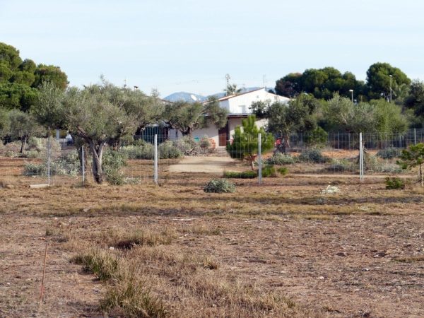 Fiscalía denuncia construcciones ilegales en el Prat Cabanes-Torreblanca