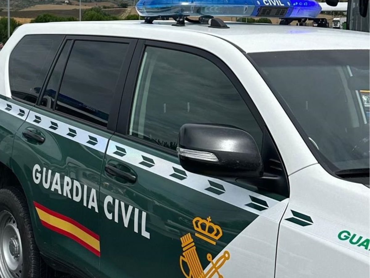 Incautan en un ‘grow shop’ de Vila-real paquetes de hachís y marihuana