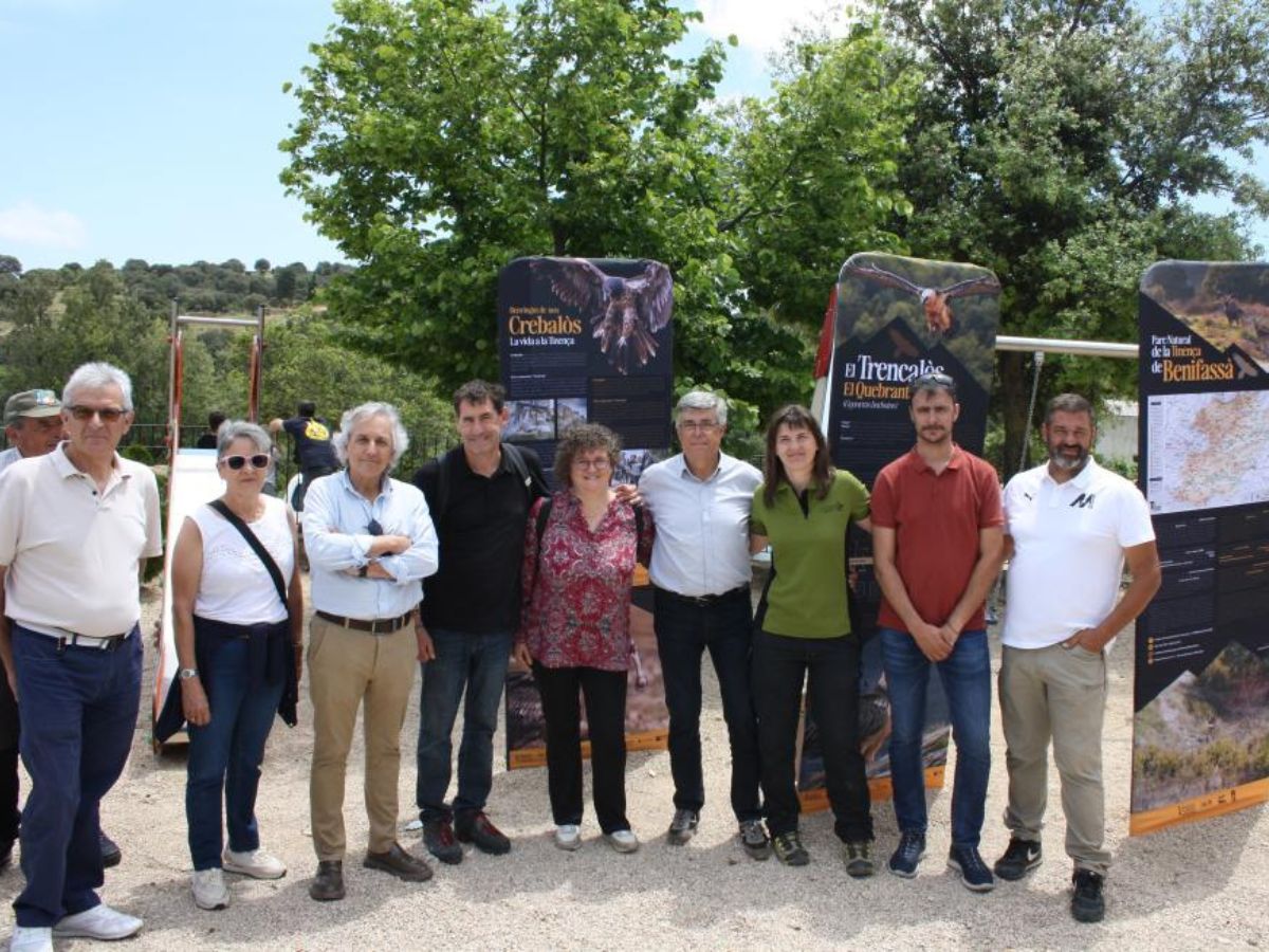 Medio Ambiente colabora en la liberación de tres crías de quebrantahuesos en la Tinença de Benifassà.