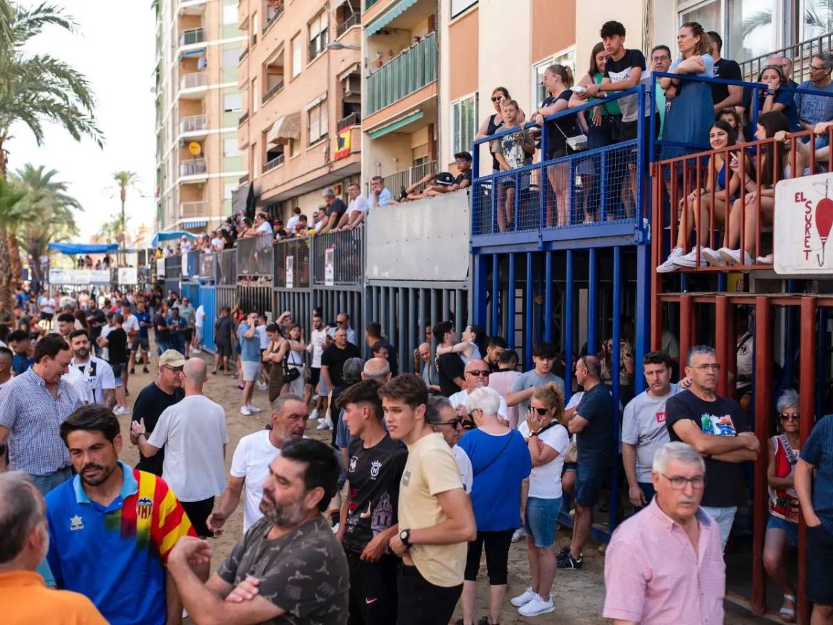 Multitudinario IV Encierro de Toros Cerriles en San Pedro del Grao de Castellón