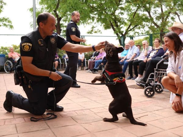 Nuevo refuerzo en la Unidad Canina de la Policía Local de Onda