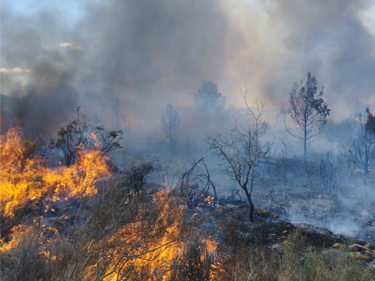 Se declara un incendio en La Pobla Tornesa