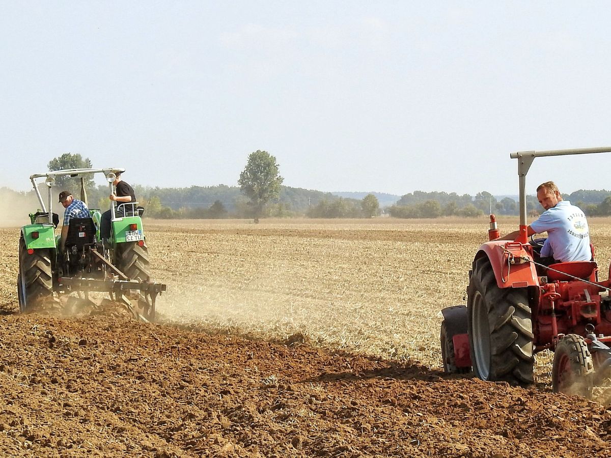 Apoyo agrícola en Castellón para Cooperativas afectadas por incendios