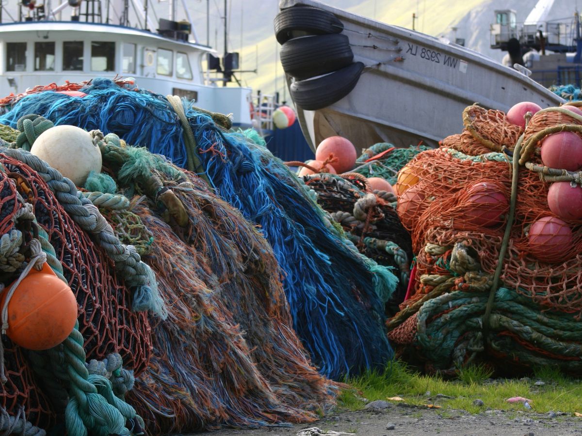 Ayudas para Armadores y Pescadores por paralización pesquera