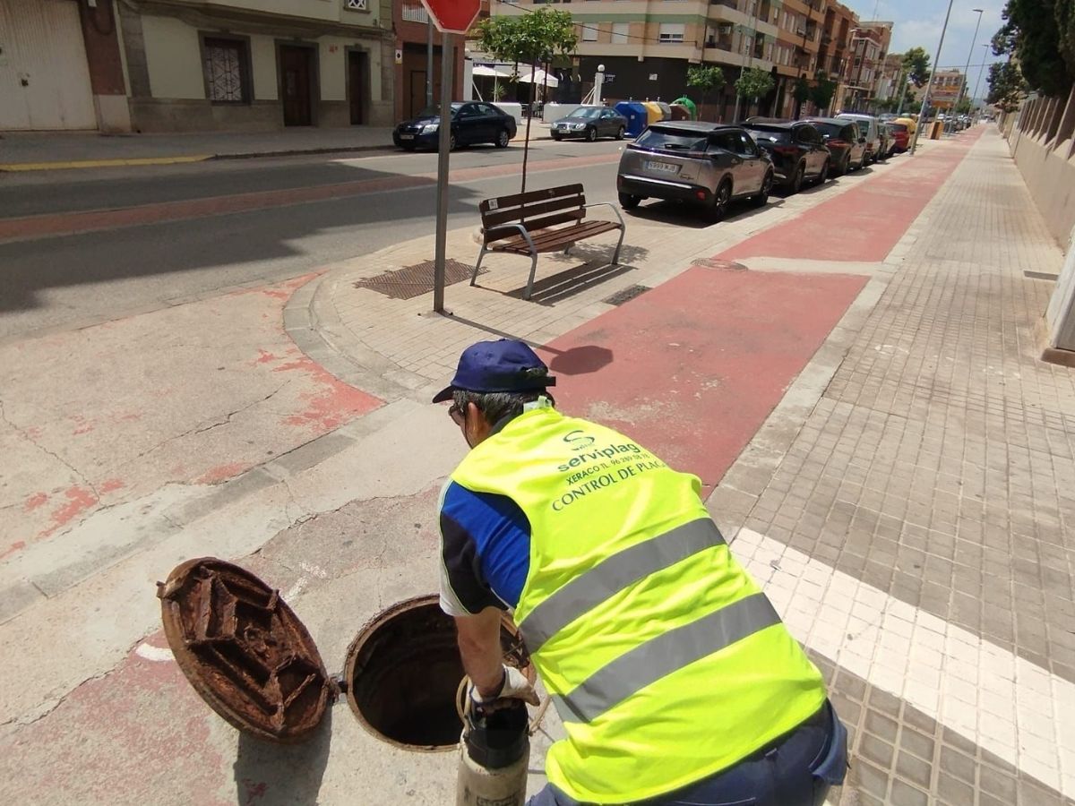 Nules refuerza tratamientos contra cucarachas y ratas este verano