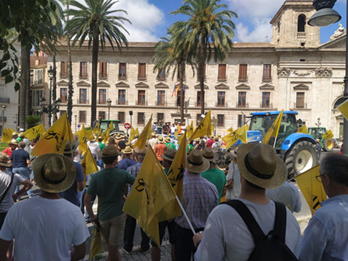 Protestas en Valencia: Agricultores exigen medidas urgentes al Gobierno