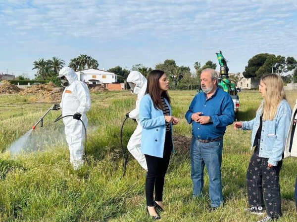 Castellón pulveriza contra mosquitos en zonas de agua estancada