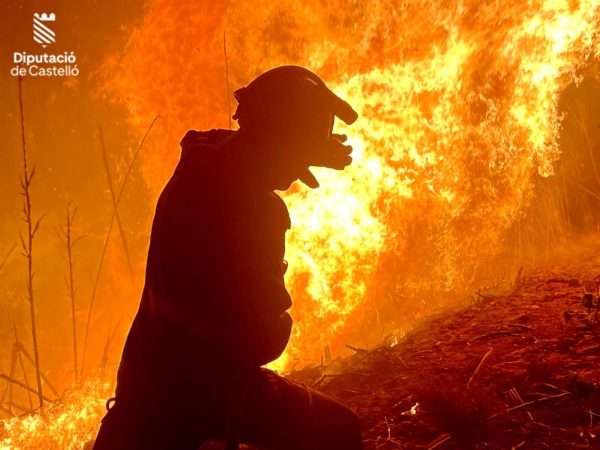 Declarado un incendio forestal en Fanzara