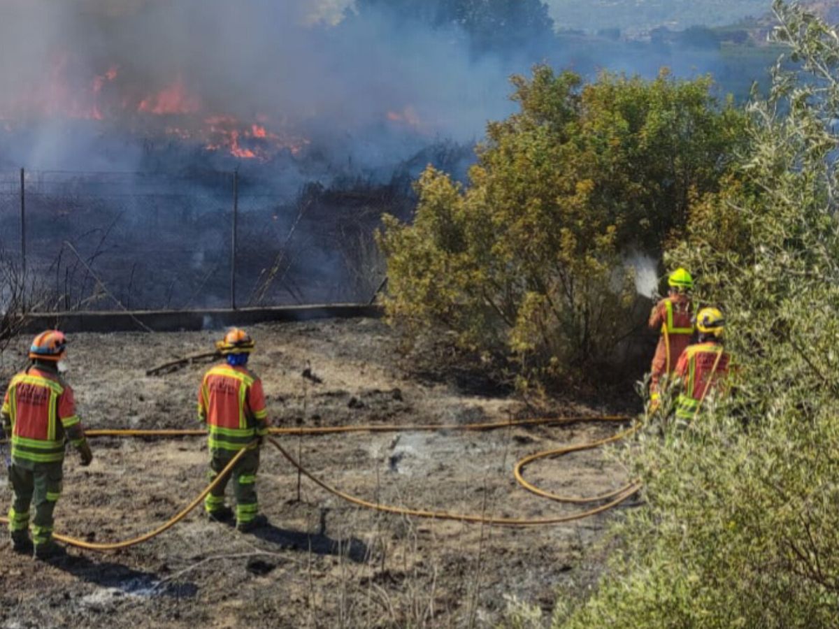 Declarado un incendio forestal junto a la AP-7 en Xàtiva