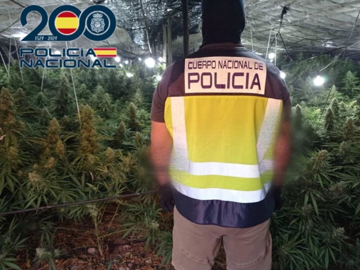 Detenidos por obligar a trabajar en plantaciones de marihuana en Castellón