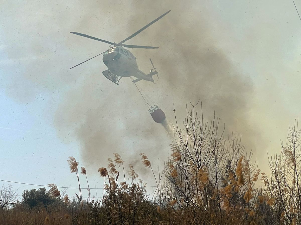 Incendio en el cauce del río Millars en Almassora