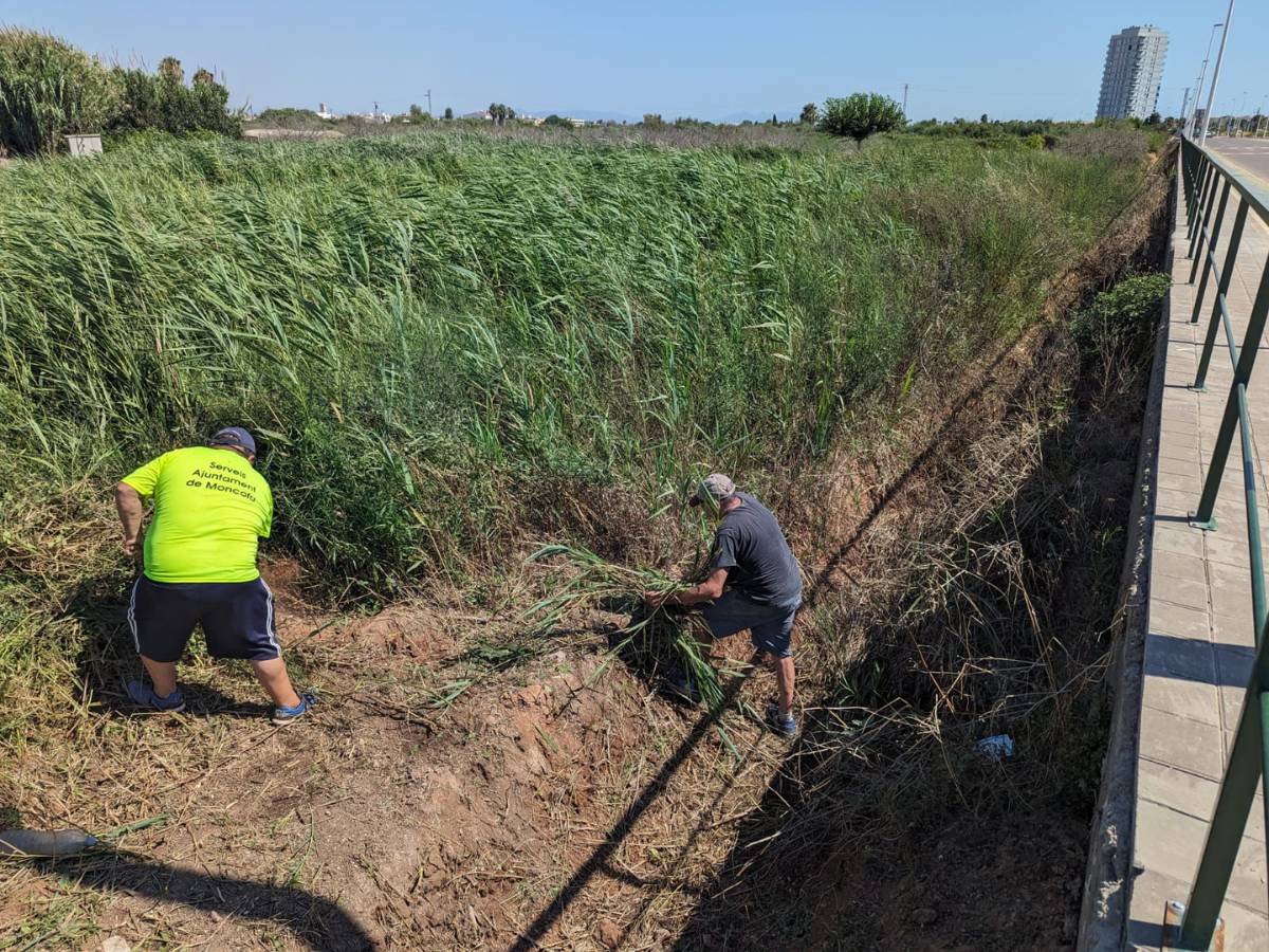 Moncofa emplea a 32 personas para mantinimiento y limpieza del entorno natural